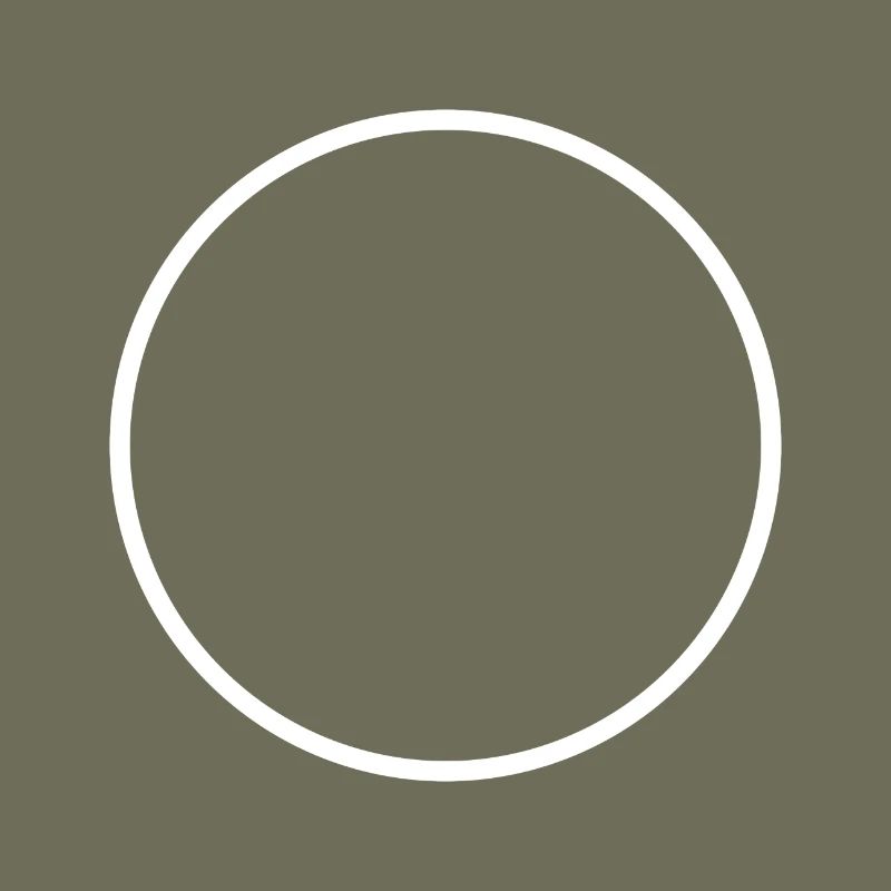Circle ring shape icon white