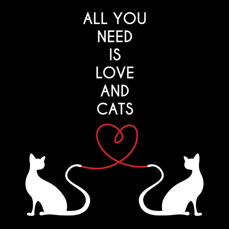Chat - Amour - Chats - J'aime mon chat