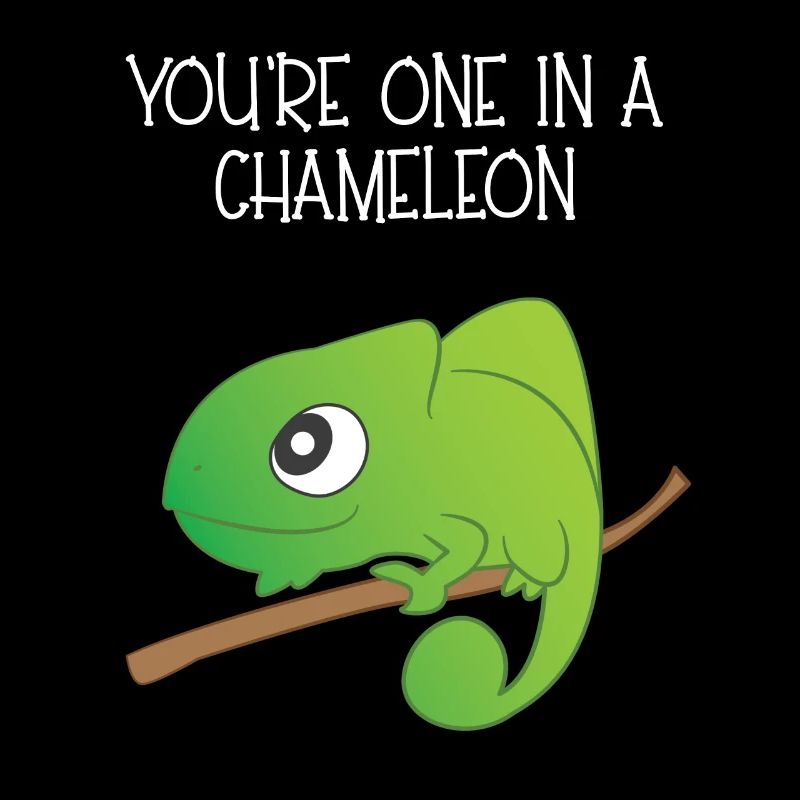 Reptile - Chameleon - Chameleons - Gift