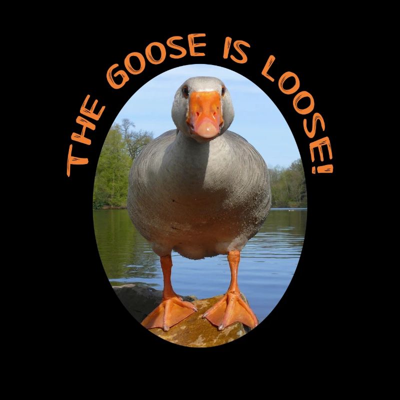 The Goose is loose!