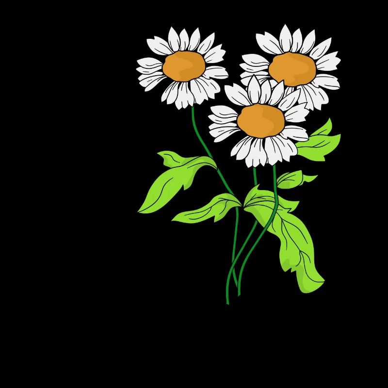 Gänseblümchen Blume Pflanze blühen Geschenkidee