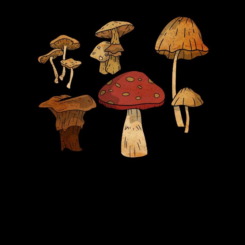 Champignon, champignons, morilles, butinant, chasse, idée cadeau