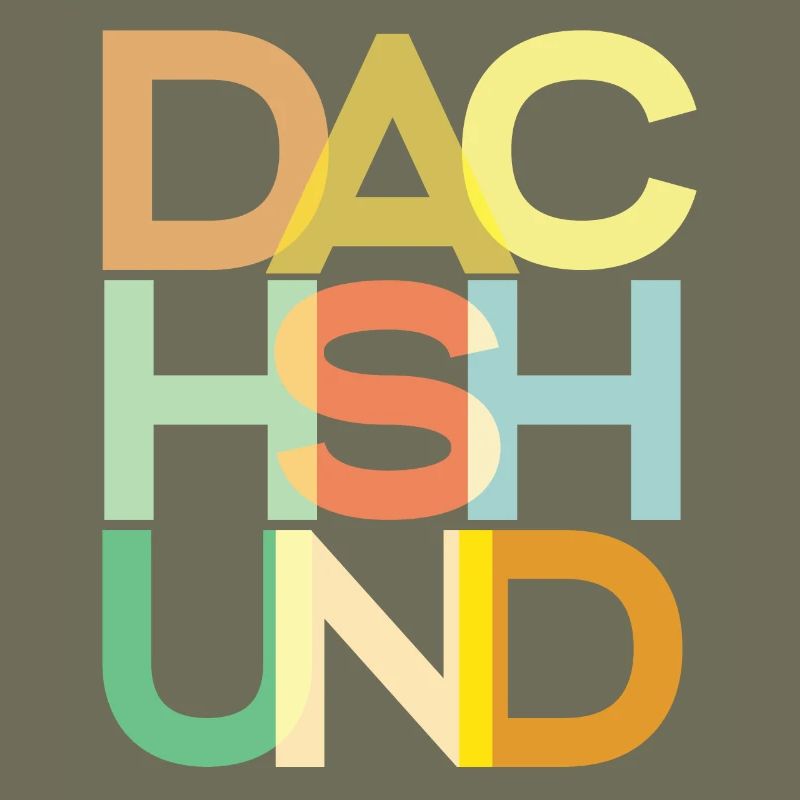 Dackelhund Hund Bunt