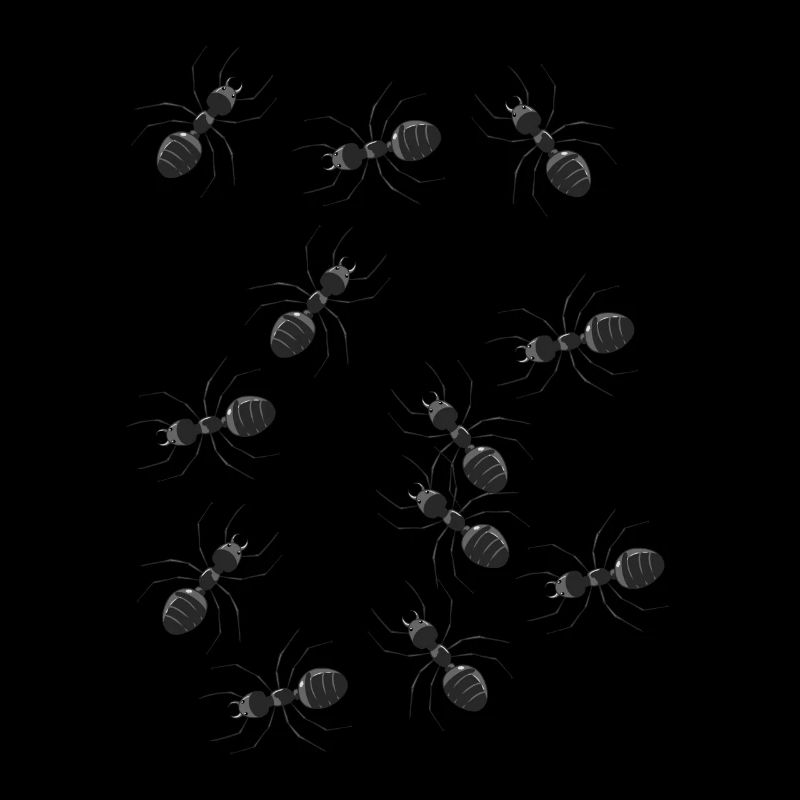 Fourmis Animaux Insectes Insectes Animaux de la forêt