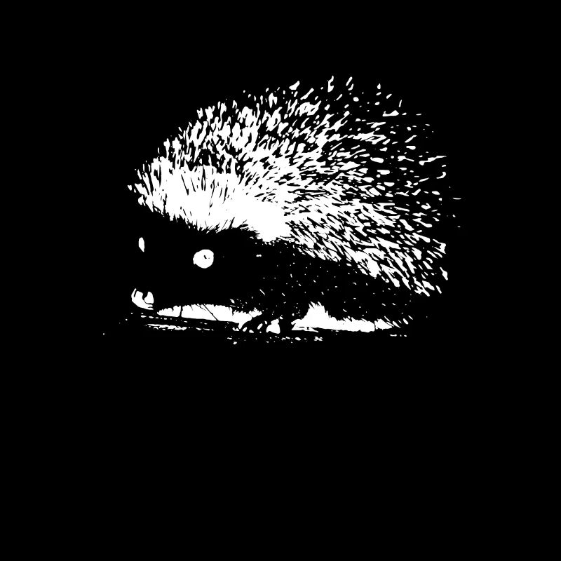 Igel Hedgehog