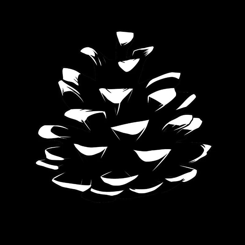 Pine pine cones Pine cones Forest Natural tree