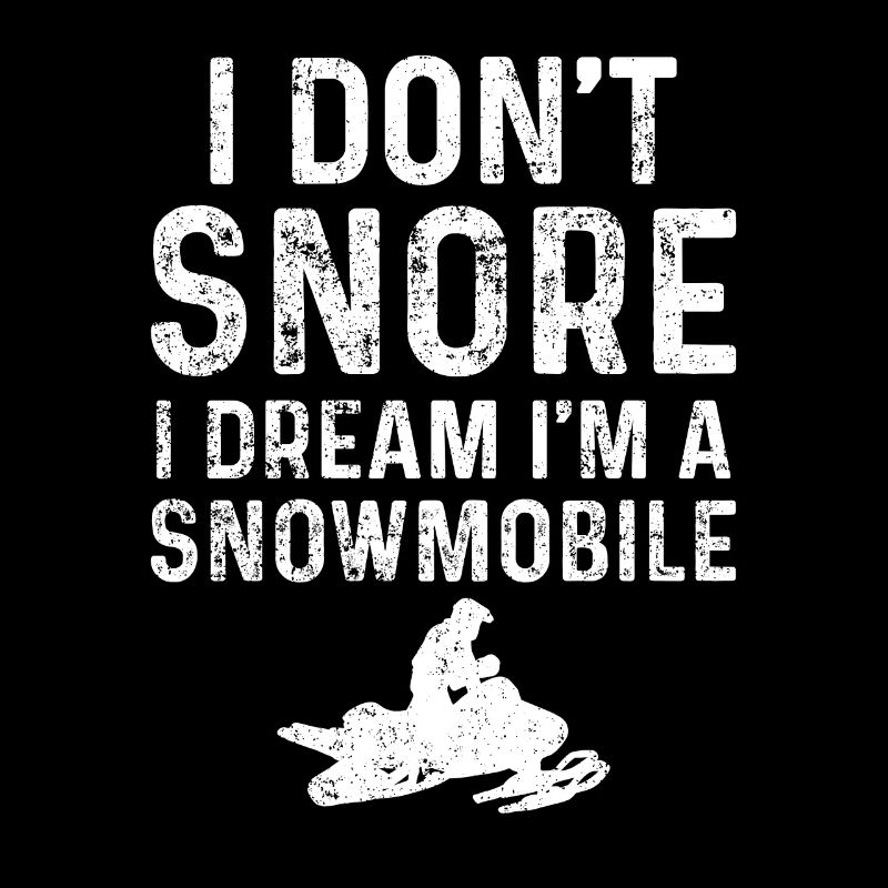 Snowmobile Snowmobiling Snowmobilers