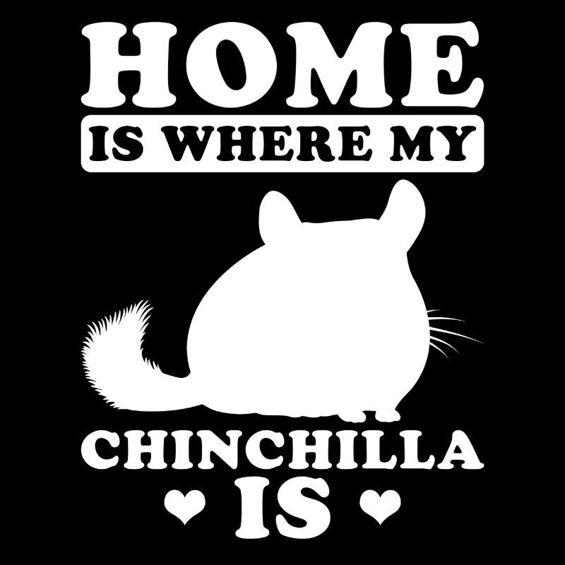 Chinchilla