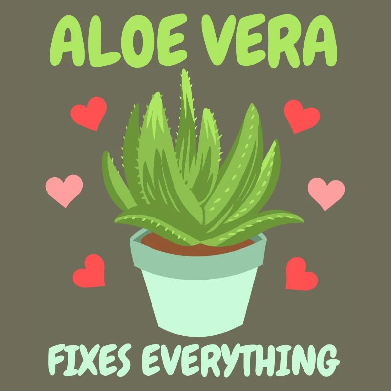 Aloe Vera Succkulente