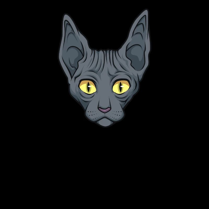 Sphynx Cat