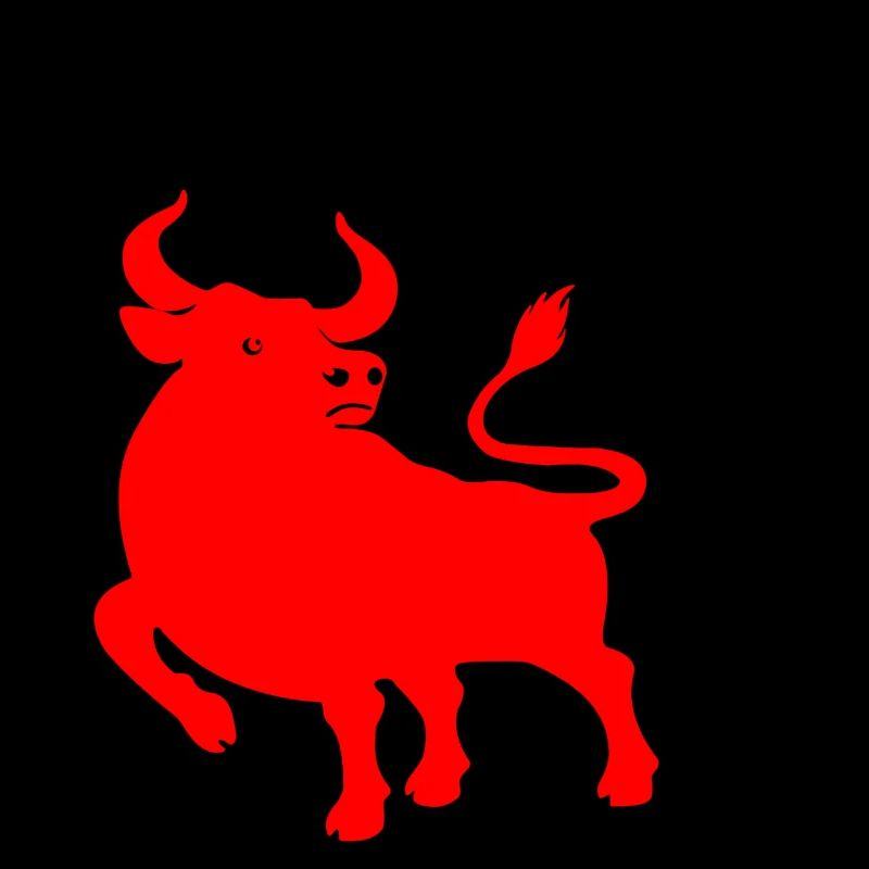 Caractère chinois rouge os avec image du système d’exploitation