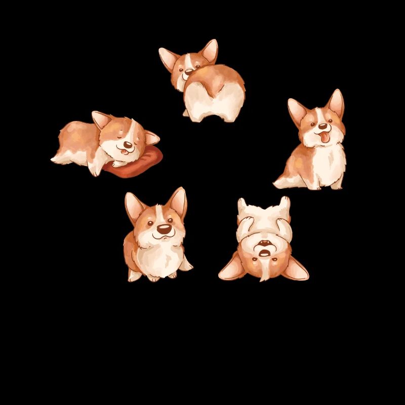 Cute Corgis for Girls