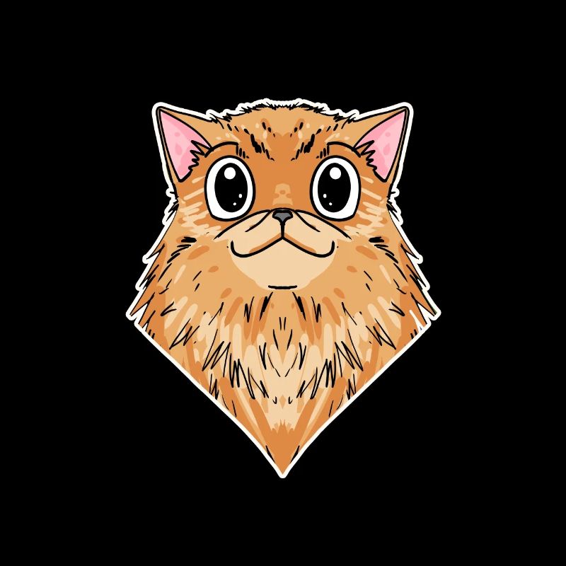 Chat persan Race de chat Chat