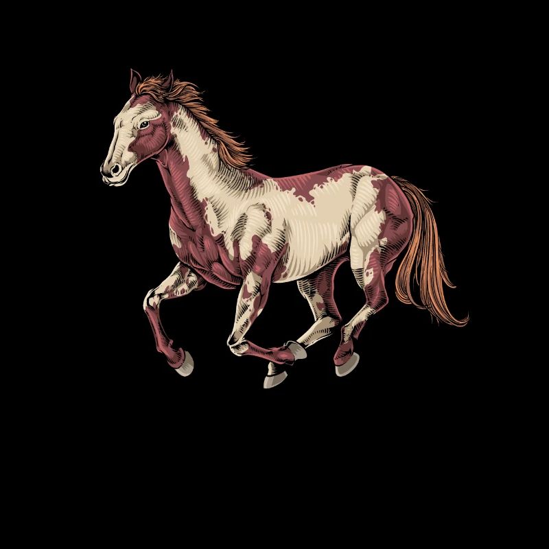 Dessin d’un cheval de peinture
