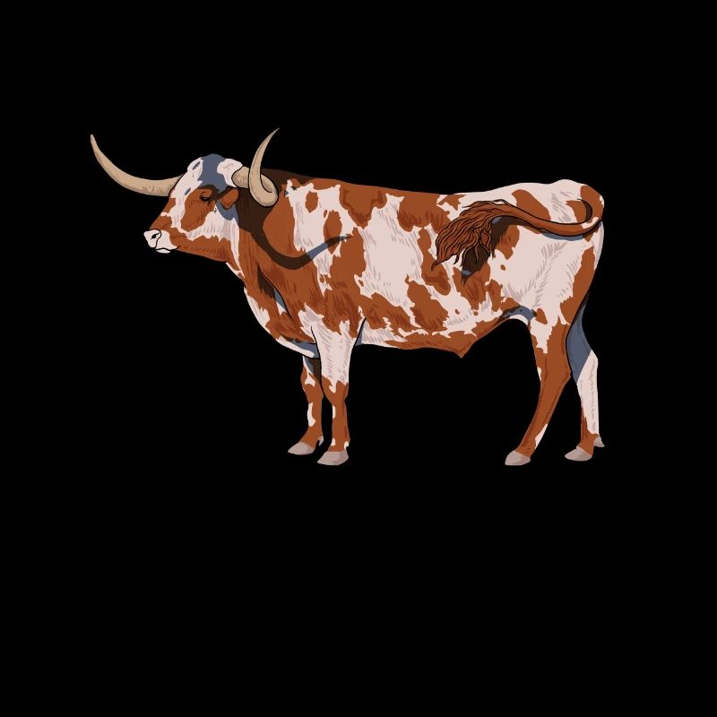 Dessin d’un Texas Longhorn