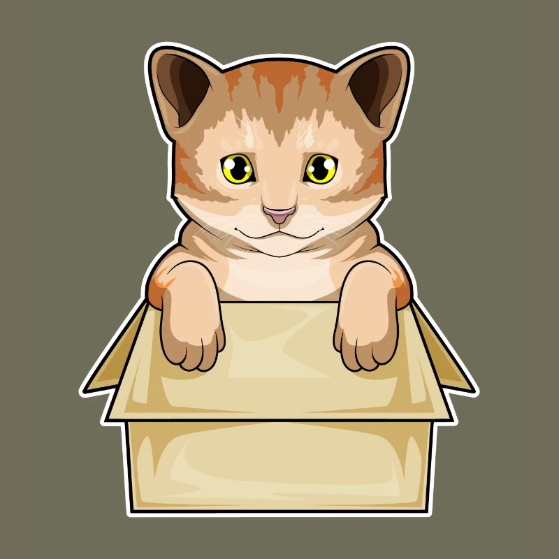 Katze Karton