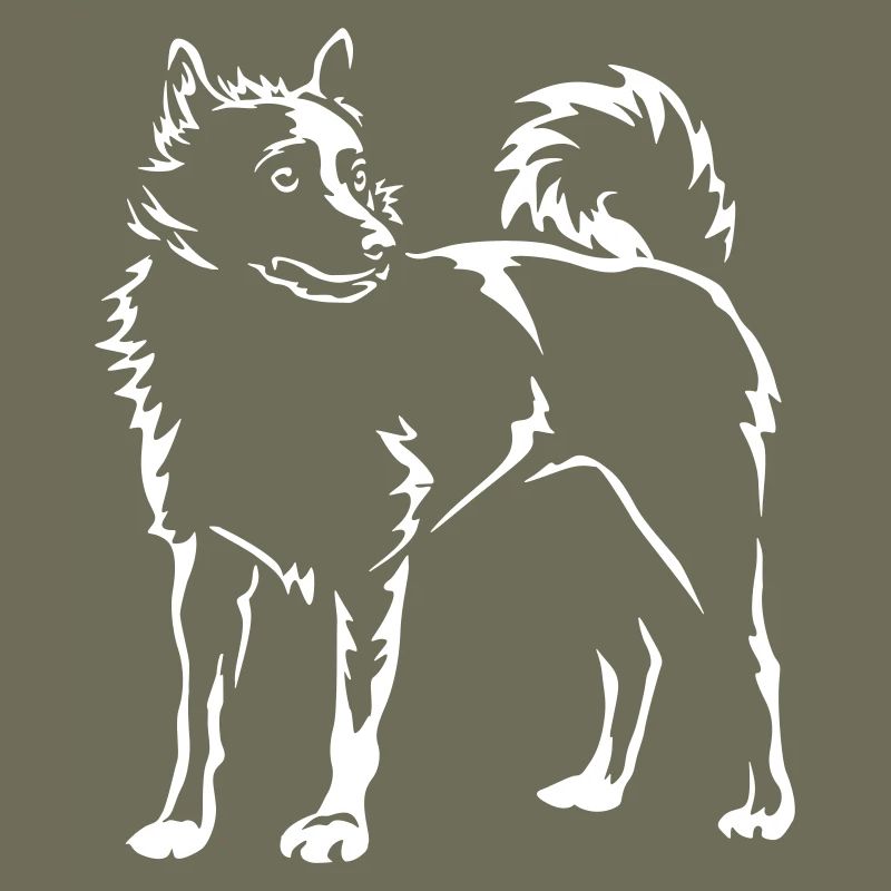 Schipperke "Black Edition"