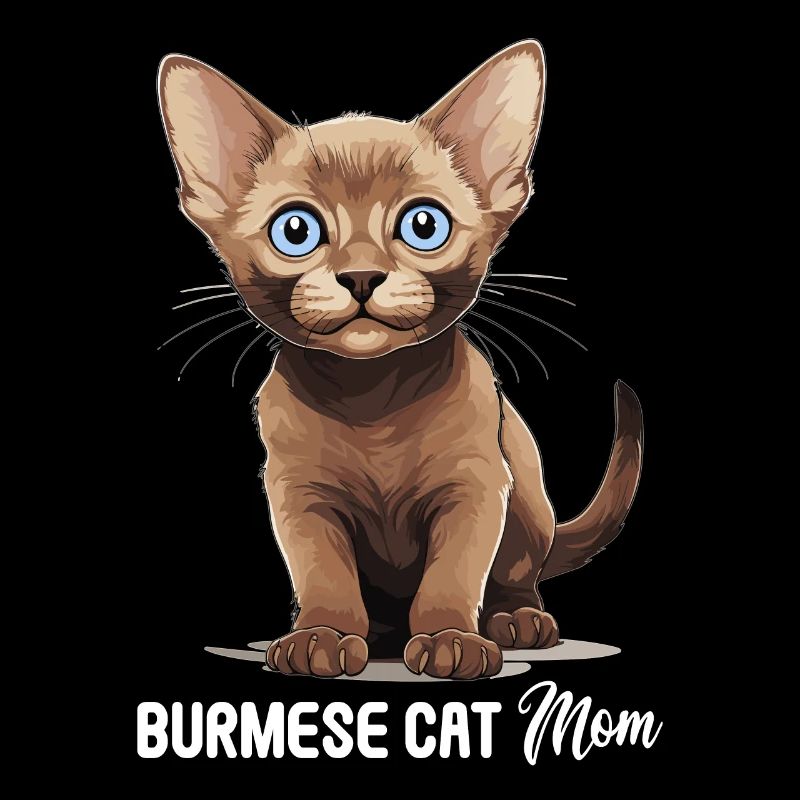 Burmese Cat Burma Katze