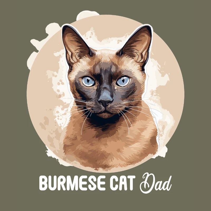 Chat birman Birmanie Katze