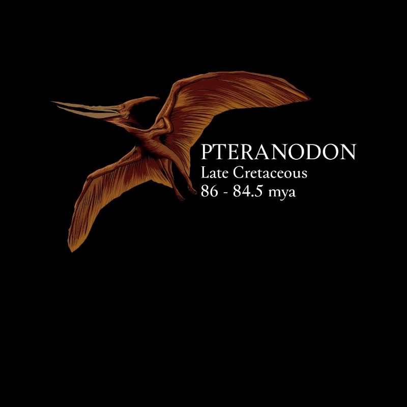 Realistic drawing of the Pteranodon