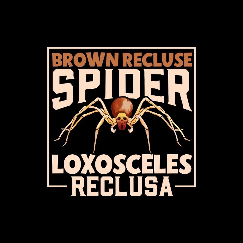 Brown Recluse Spider