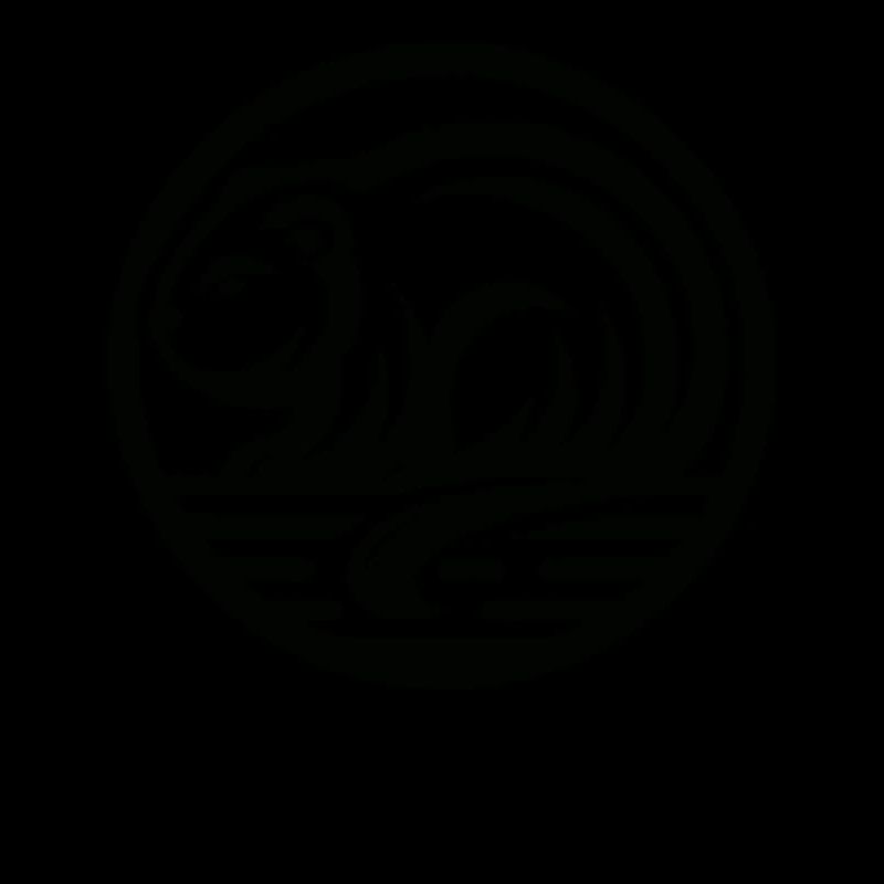 Beaver Native American Zodiac