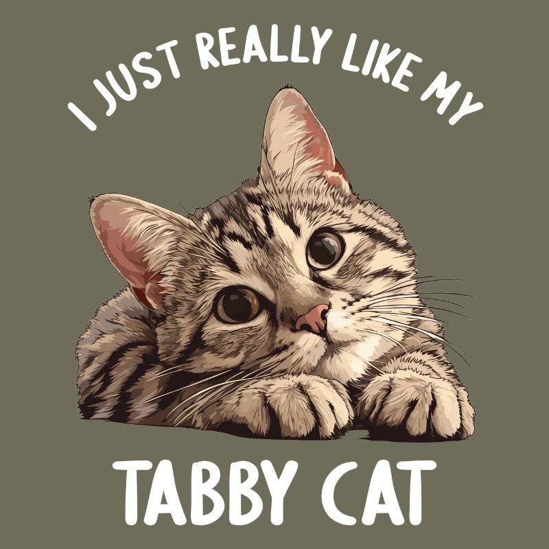 Tabby Kätzchen Tabby Katze