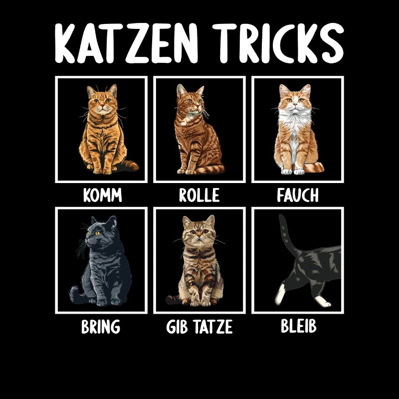 Chat Chats Astuces Chats Drôles