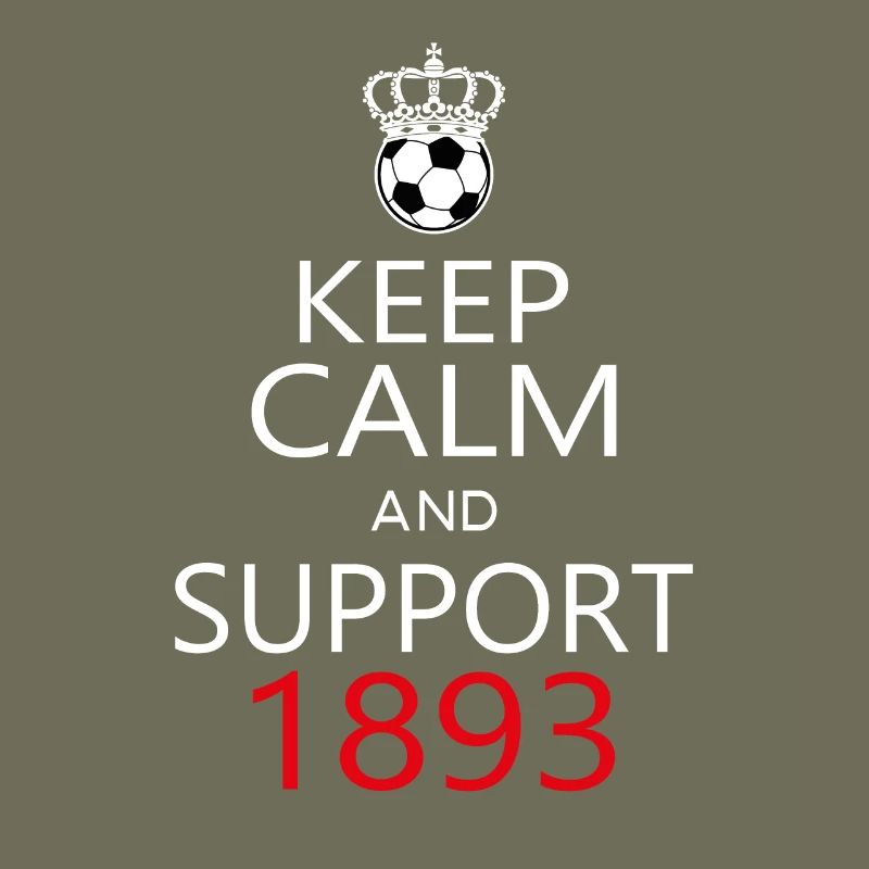 Support 1893