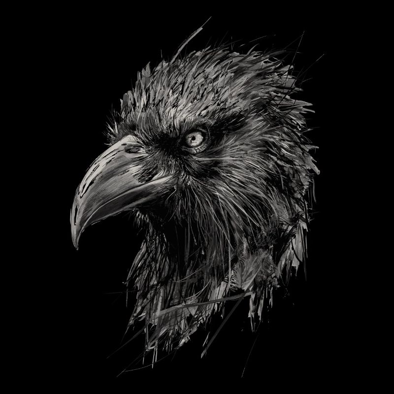 Raven Drawing Abstract Illustration