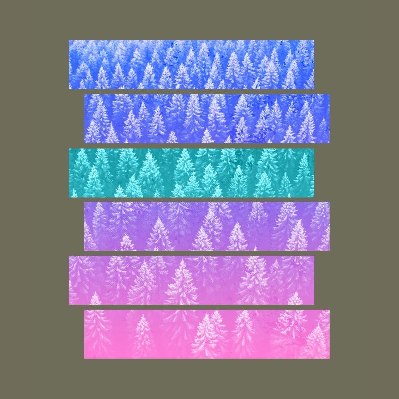 Fir