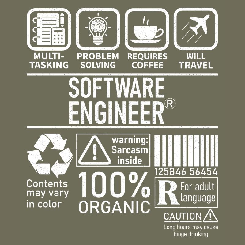 Ingénieur logiciel multitâche résolution de problèmes