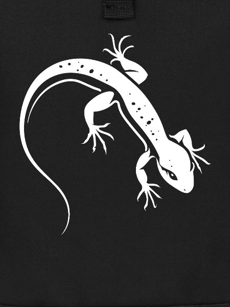 Lizard Silhouette Contrasting Salamander