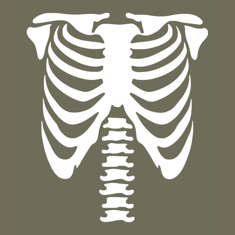 Skelett-Torso