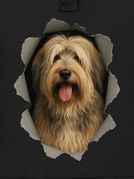 Catalan Sheepdog