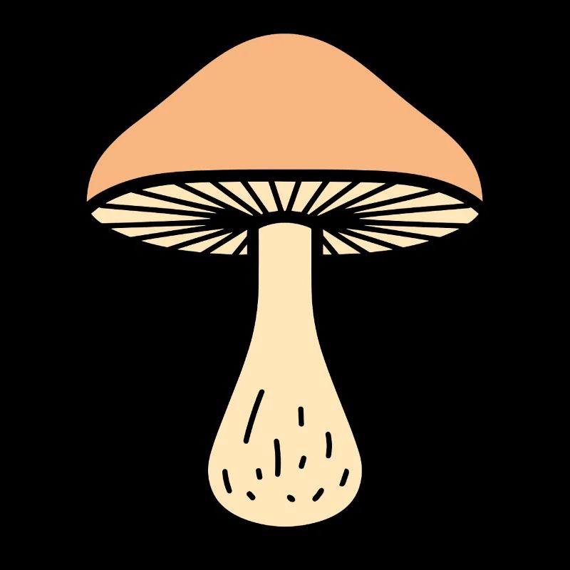 Champignon Illustration Naturelle