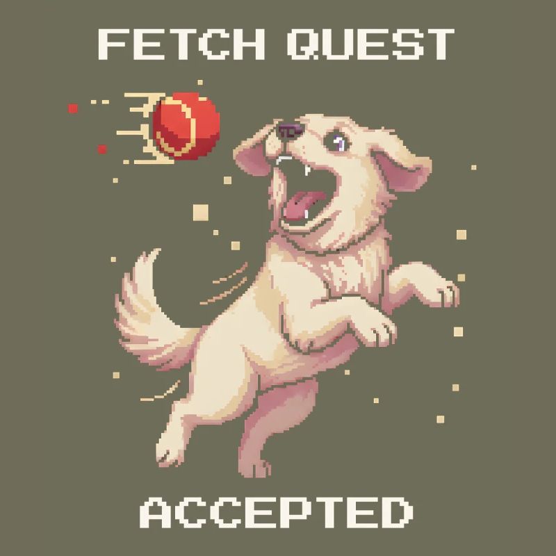 Fetch Quest Accepted | Dog playing ball
