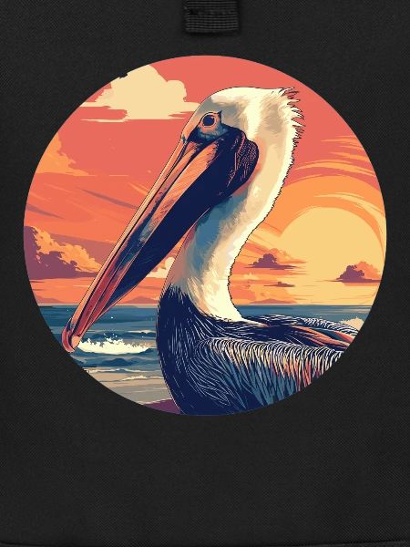 Pelicans Pelican