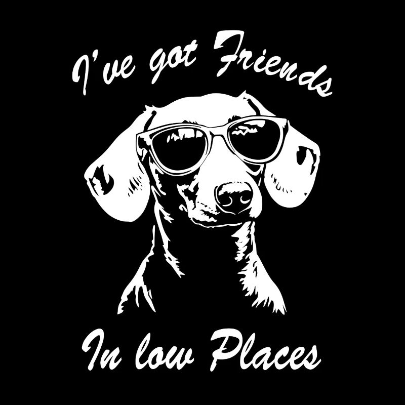 Teckel drôle disant que j’ai des amis en bas lieu