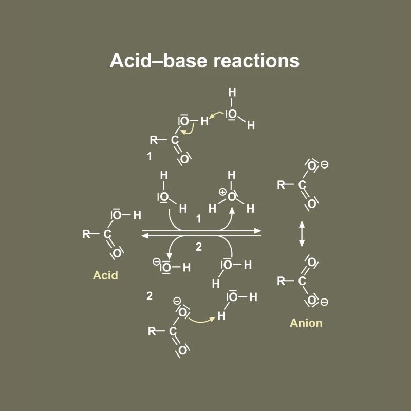 Réactions Acide Base Illustrées
