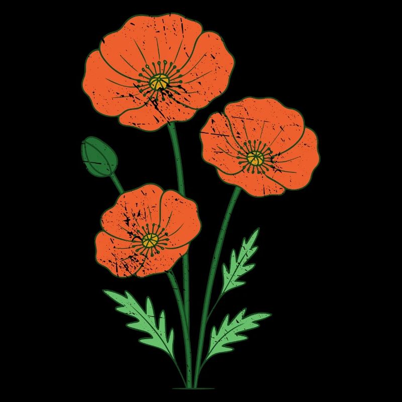 Orange Poppies Botanical Illustration