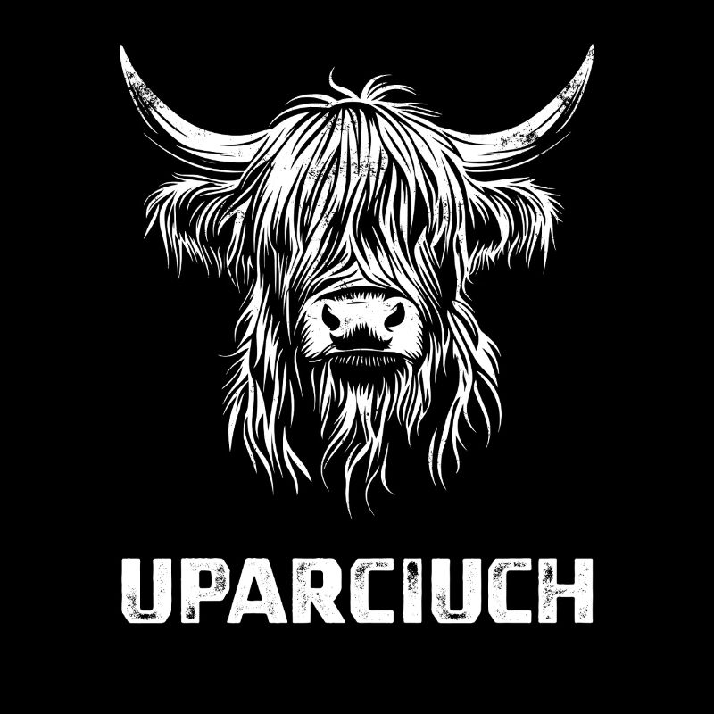 Uparciuch - Schottisches Hochlandrind - Polnisch