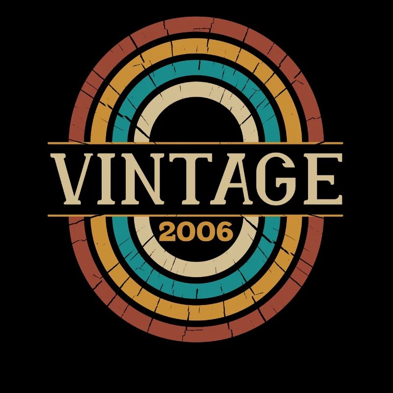 Vintage 2006 Geburtstagsgeschenk Retro Geboren 2006