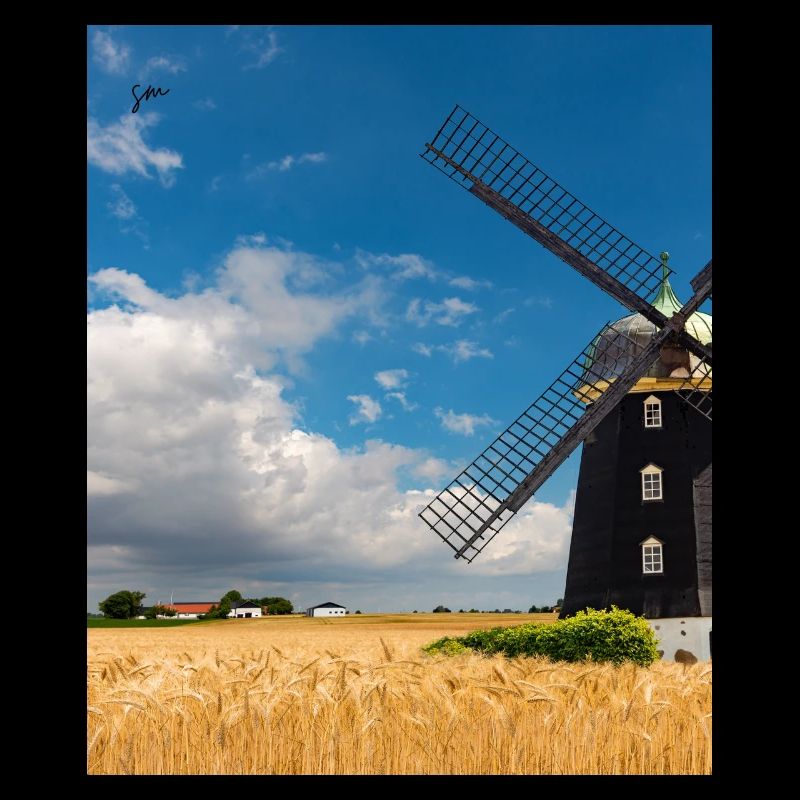 Mill among golden fields