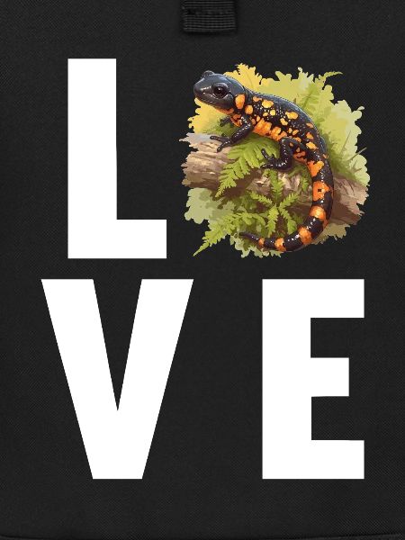 Fire Salamander Salamander