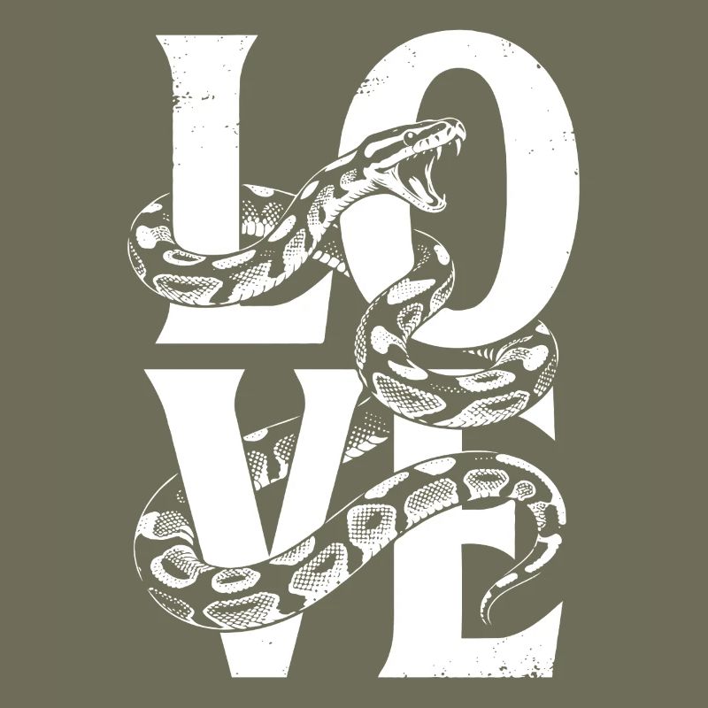 Königspython Schlangen LOVE Terrarium Python