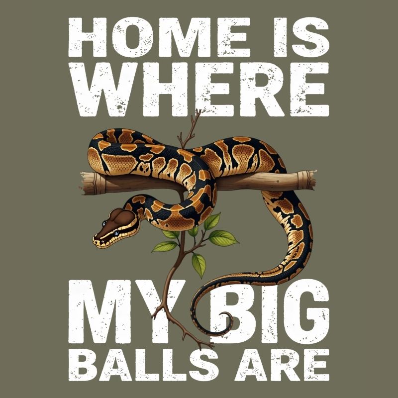 Python roi Serpents Amateurs de terrarium Python