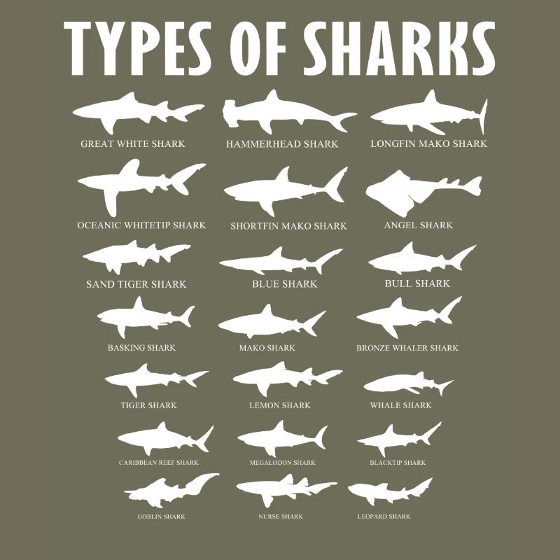 Types de conception de la vie marine océanique des requins