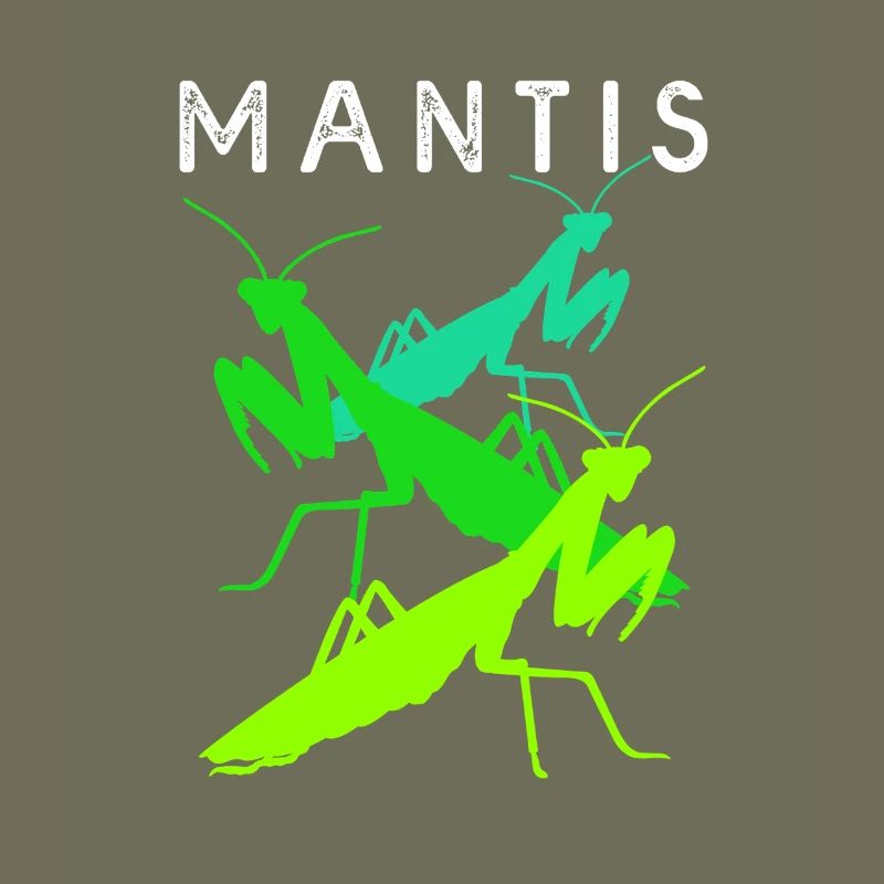 Adoratrice Mantis Mantis
