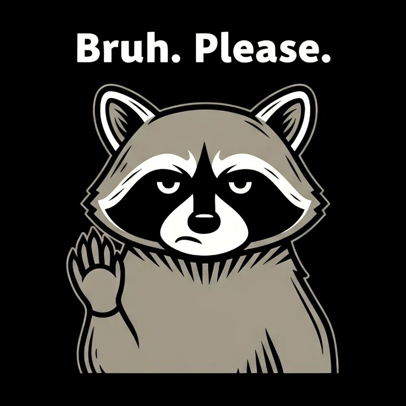 Bruh Please Raccoon Meme